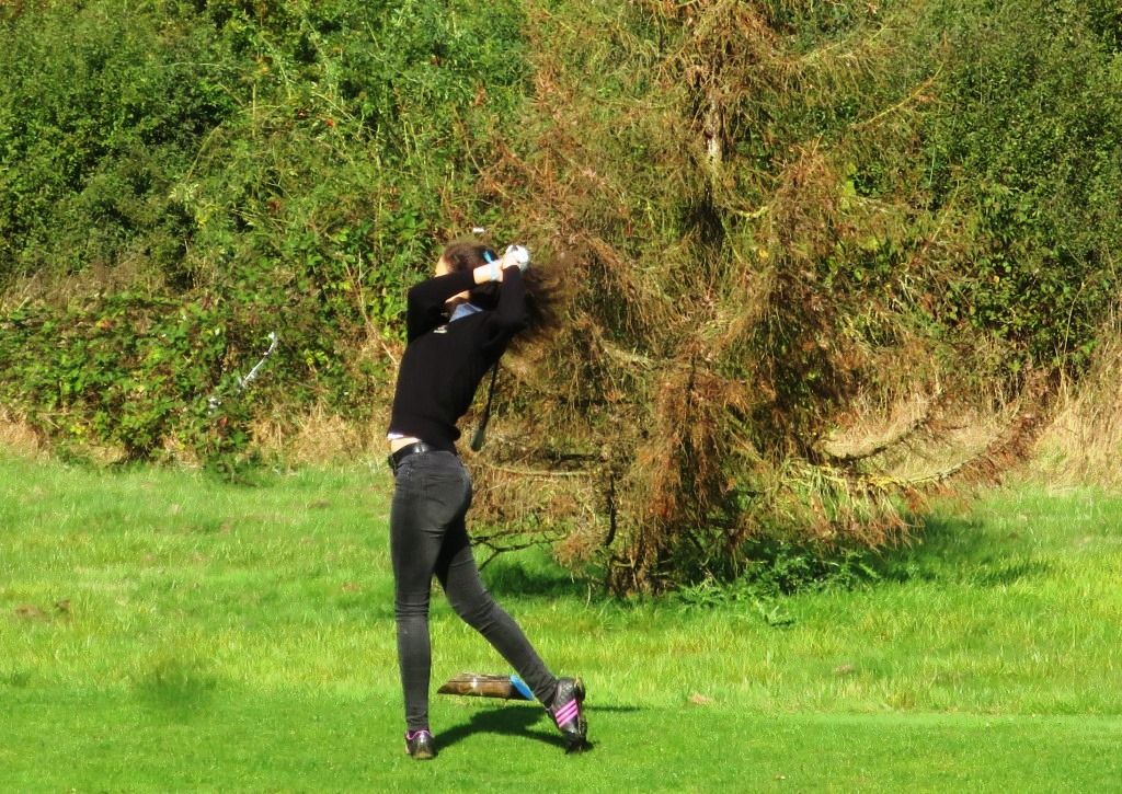 Comité départemental de Golf de Seine & Marne Actualités Championnat de Golf de Seineet Comité départemental de Golf de Seine & Marne Actualités Championnat de Golf de Seineet